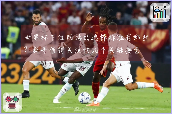 世界杯下注网站的选择标准有哪些？新手值得关注的几个关键要素