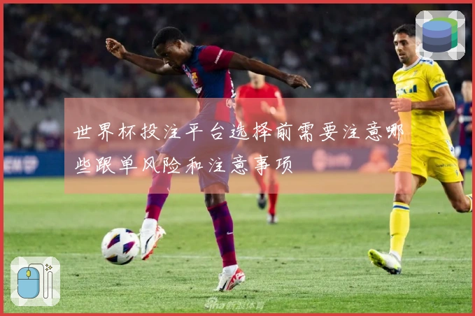 世界杯投注平台选择前需要注意哪些跟单风险和注意事项