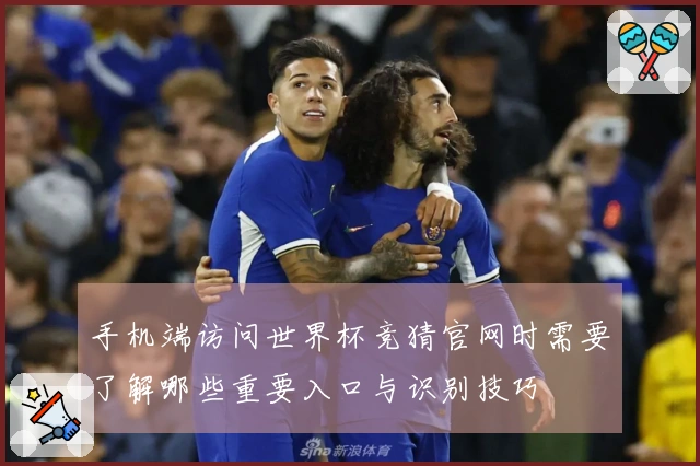 手机端访问世界杯竞猜官网时需要了解哪些重要入口与识别技巧